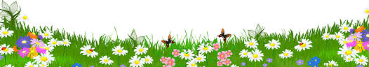 Grass Ground With Flowers Png Clipart Avec Images