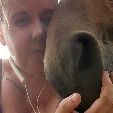 EDIT: someone has been found! Thank you all for your help and kind wishes.  I am currently looking urgently for horse disposal or burial services that  can be available to me tomorrow