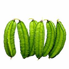 Image result for Psophocarpus