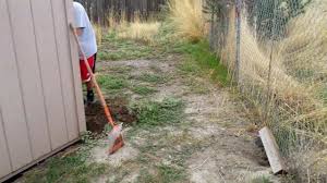 Jul 14, 2021 · fruits and veggies in your garden can act as skunk bait, so try surrounding your crops with a low fence. How To Get Rid Of Skunks In Your Backyard The Housing Forum