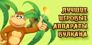 لعب في أفضل فتحات مجانا. Crazy Monkey Slot 1 0 Apk Download Com Monkey Crazzy Apk Free