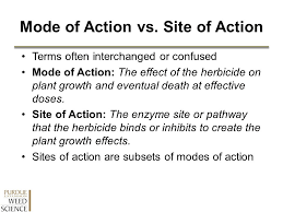 Using The Herbicide Classification Chart Ppt Video Online