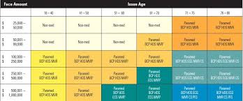 What can i do to help speed up the underwriting process? Life Insurance Underwriting Process See The Flows Types Guidelines