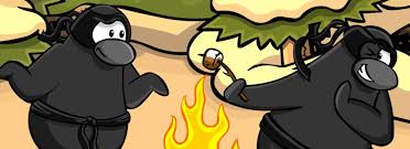 The code can only be used once, so don't lose it! Club Penguin Rewritten Card Jitsu Club Penguin Mountains