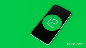The first developer preview of android 12 is only compatible with google pixel devices. Android 12 Developer Preview 2 Available Here S What S New Laptrinhx