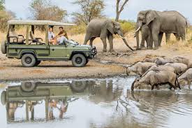 Lake Manyara National Park Safari