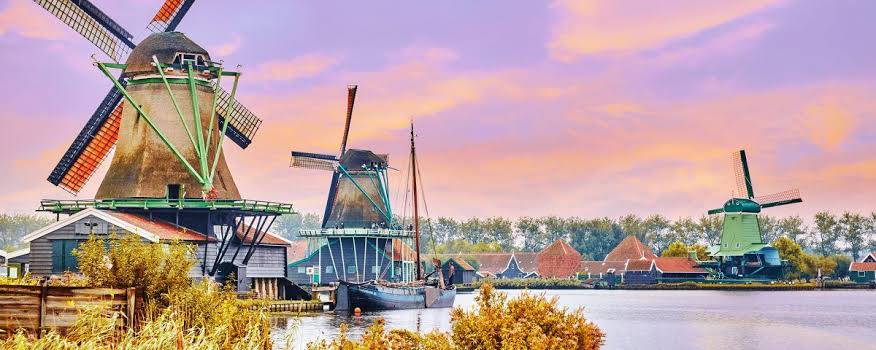 Image result for Belanda"