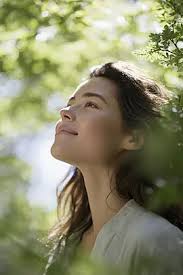 Starry Sky Green Environmental Protection Light Bulb Background Wallpaper  Image For Free Download