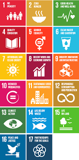 chapter 1 getting to know the sustainable development goals