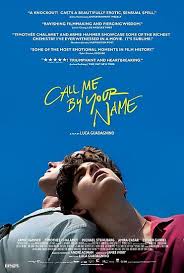 Call Me By Your Name Film Poster Photographic Print By Dearesthoneybee In 2020 Your Name Movie Your Name Full Movie Call Me