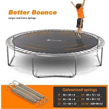 Image result for Exacum zombense