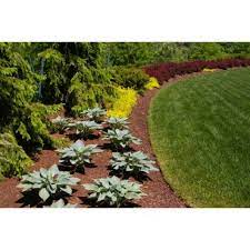 Plantation irrigation & landscaping niagra inc. Plantation Irrigation Landscaping Niagara Inc In Fort Erie On 9058941202 411 Ca