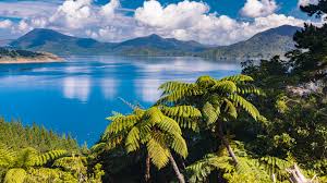 Die temperatur beträgt aktuell 14 grad. Vision21 Neuseeland