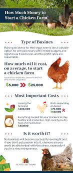 Download How Much Money To Start A Chicken Farm