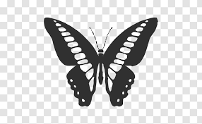 Free Free 188 Butterfly Svg Transparent SVG PNG EPS DXF File
