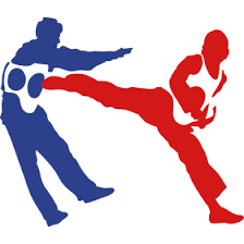 Download the taekwondo png on freepngimg for free. Taekwondo Png