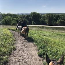 Jun 09, 2021 · the riding routes are anywhere from two to four miles at the river valley ranch. River Valley Ranch 14 Photos 15 Reviews Horseback Riding 16480 Jonathan Carver Pkwy Carver Mn Phone Number Yelp