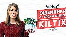 Pire Ve Kiltix Kopekler Icin Keneler Yakaliyor Fiyat Uygulama Kurallari Ve Ayrica Urunun Avantaj Ve Dezavantajlari Ev Apartman