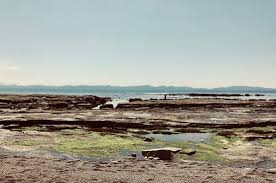 Botanical Beach Provincial Park Port Renfrew 2019 All