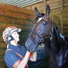 Hambletonian 2019: Brian Sears has winning options in Gimpanzee, Greenshoe