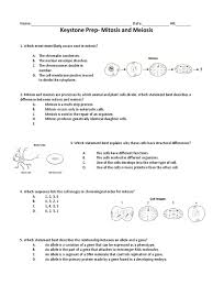 Check spelling or type a new query. Keystone Prep Mitosis Meiosis Cell Biology Gene