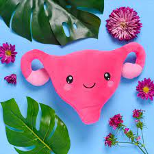 Uterus Plush Organ Toys Who Put The Cuter Us In Uterus Nerdbugs Uterus Plushie Organ Handmade Baby Toys Nerdy Gifts Get Well Gifts