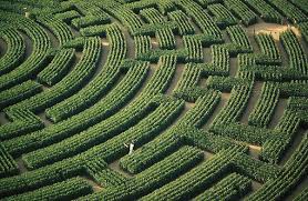 Where S My House Maze Vacation Home Rentals Patterns In Nature