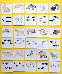 Animal Tracks Printable Memory Game Freememorygames Printablesmemorygames Memorygames Picturememory Animal Tracks Printable Games For Kids Animals For Kids