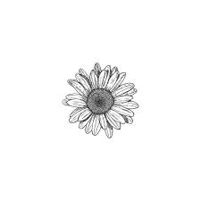Aesthetic Black And White Flower Transparent Background Lemonade Updated Transparent Pictures Master Post For Your Liked On Polyvore Featuring Fillers Flowers Doodles Dra Daisy Tattoo Tattoos Small Tattoos