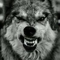 20+ "Becky Eccles" profiles