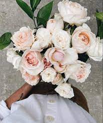 We did not find results for: Organic Flowers Near Me