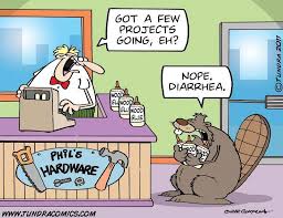 Wood Glue Woodworking Jokes Funny Cartoons Funny Comics