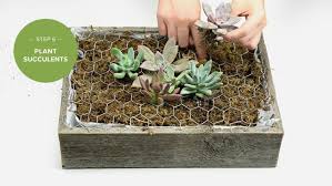 Once the weather breaks i can not wait to get my hands in the dirt. How To Make A Succulent Wall Garden Proflowers