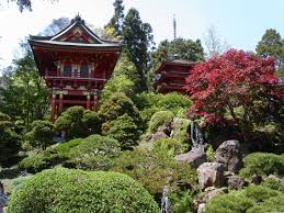 Our tearoom has the most amazing cakes and homemade meals for you we also have free wifi facilities for all tea room customers. Japanese Tea Garden Japanischer Garten Im Golden Gate Park