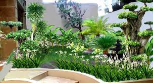 Meski terdapat banyak jenis dan warna bunga mawar, namun bunga mawar dengan warna apapun tetap mengeluarkan wangi yang khas yang nama buck sengaja diambil dari nama penemunya tersebut. Jenis Tanaman Yang Tepat Untuk Taman Rumah Minimalis Creo House