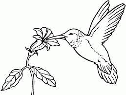 Here is a free coloring page of bird. Bird Coloring Pages For Adults Coloring Home