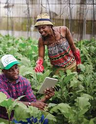 Building the Future of Tech- Enabled Agriculture