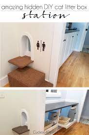 I built this litter box container in the garage and added a doggy door into it from the bathroom. Amazing Litter Box Enclosure Cuckoo4design
