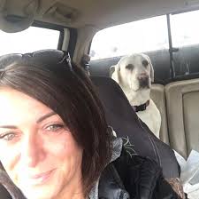 Professionals in Brighton, MI