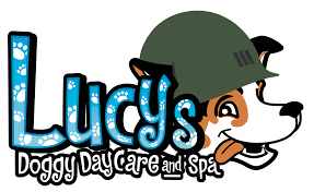 Maybe you would like to learn more about one of these? Boarding Facility For Dogs Lucy S Doggy Daycare And Spa In San Antonio