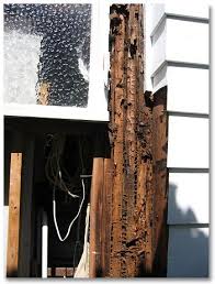Dry Rot How To Repair Replace Damaged Wood Wood Repair Home Repair Home Maintenance