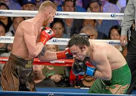 As this will be chavez sr's last fight ever! Andrzej Fonfara Batters Julio Cesar Chavez At Stubhub Center Daily News