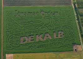 Check spelling or type a new query. Corn Maze Jonamac Orchard Your Family S Fall Tradition Lettering Typography Dekalb