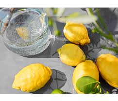 Und wachsen uns flügel nach dem tod, so wollen wir euch besuchen dort oben, und wir, wir essen mit euch die seligsten torten und kuchen. Zitrone Solitar Dehner