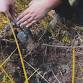 Eugene Wild Clay Intensive: Intro to foraging, clay chemistry, and local glaze materials — Whitesnake Arts