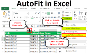 Autofit In Excel How To Auto Fit In Excel Top 5 Methods