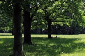Grosser garten is located in a historic area of dresden known for its top museums and major shopping area. Der Grosse Garten In Dresden