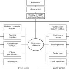 Organizational Chart Of The Health Care System 2003