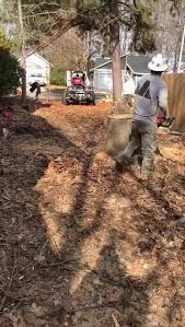 We did not find results for: Express Tree Trimming Home Facebook