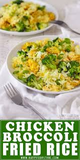 Before you know it, dinner is ready. Chicken Broccoli Fried Rice Recipe Happy Foods Tube